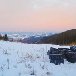 Țigări de contrabandă în valoare de aproximativ 85.000 lei, confiscate la frontiera de nord