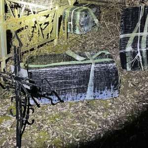 Ţigarete de contrabandă, în valoare de peste 68.000 de lei, descoperite în cimitir