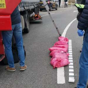 81 kilograms of opium found hidden above the cab of a truck, at BCP Calafat