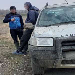 Infracțiuni de braconaj piscicol constatate de polițiștii de frontieră brăileni