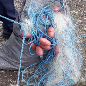 Infracțiuni de braconaj piscicol constatate de polițiștii de frontieră brăileni