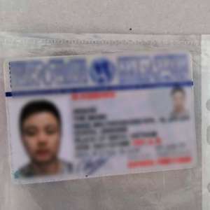 Vietnamez cu permis de conducere ucrainean fals, descoperit de poliţiştii de frontieră gălățeni