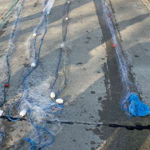 Plase de pescuit în lungime de aproximativ 340 m,  confiscate de poliţiştii de frontieră călărăşeni