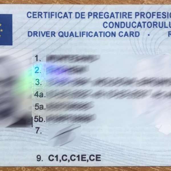 Certificat de pregătire profesională fals descoperit la frontieră