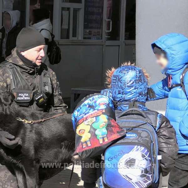 Information regarding border traffic on March 31st 2022