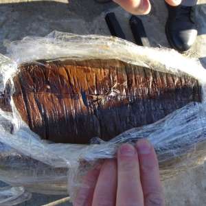 Peste 38 de kilograme de opiu, descoperite ascunse în două grătare metalice, la PTF Calafat