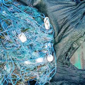 Braconaj piscicol în zona Rezervației Biosferei Delta Dunării