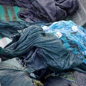 Braconaj piscicol în zona Rezervației Biosferei Delta Dunării