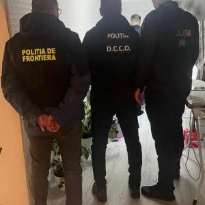 Acţiune comună pentru destructurarea unei grupări specializate în trafic de migranți