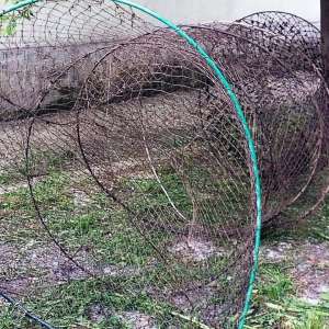 Infracțiuni de braconaj piscicol constatate de polițiștii de frontieră din cadrul Sectorului Poliției de Frontieră Foltești