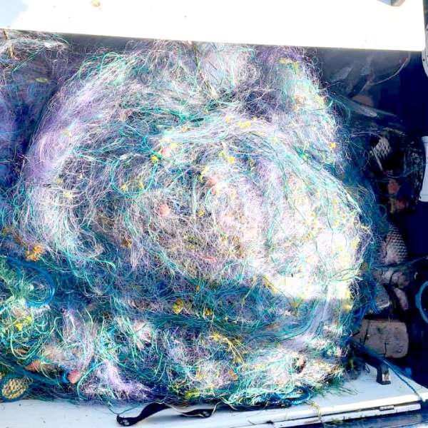 Infracțiuni de braconaj piscicol, zeci de kilograme de pește, sturioni și sute de metri de plase descoperite de polițiștii de frontieră din cadrul Gărzii de Coastă