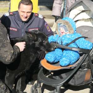 Războiul de la granița României