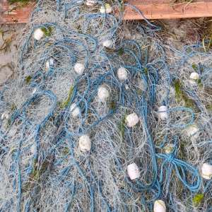 200 de kilograme de pește și 1.500 metri de plase din material textil și mono-filament, descoperite de polițiștii de frontieră din cadrul Gărzii de Coastă