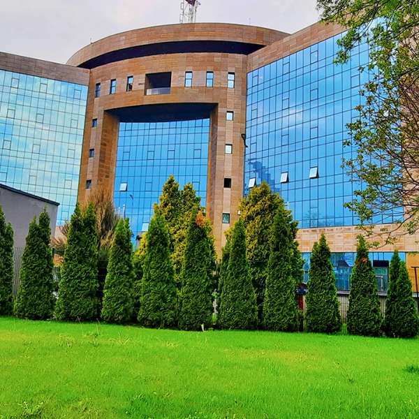 Percheziții în 18 județe și București pentru destructurarea unei rețele cu contrabandă cu aur