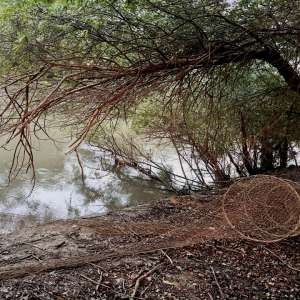 Infracțiuni de braconaj piscicol constatate de polițiștii de frontieră gălăţeni