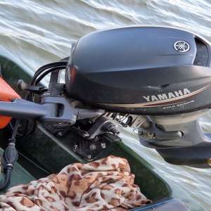 Doi braconieri depistaţi de polițiștii de frontieră brăileni