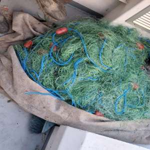 Doi braconieri depistaţi de polițiștii de frontieră brăileni