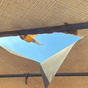 Treizeci de cetăţeni din Nepal şi Bangladesh, depistaţi ascunşi de către polițiștii de frontieră arădeni