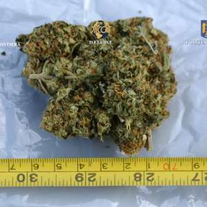 27 de kilograme de cannabis, descoperite de polițiști