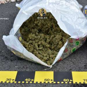 27 de kilograme de cannabis, descoperite de polițiști