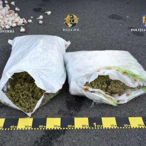 27 de kilograme de cannabis, descoperite de polițiști