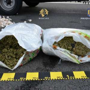27 de kilograme de cannabis, descoperite de polițiști