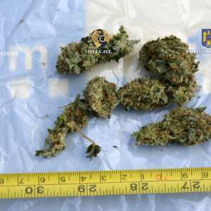 27 de kilograme de cannabis, descoperite de polițiști