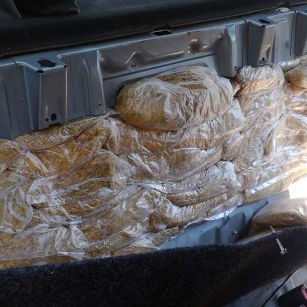 Cincizeci și opt de kilograme de tutun, descoperite într-un autoturism la P.T.F. Valea lui Mihai