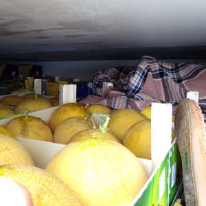 Patru cetățeni sirieni depistați ascunşi printre cutii cu fructe şi legume, într-un ansamblu rutier, în P.T.F. Calafat