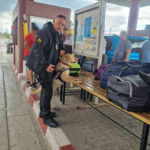 Tazada, cățelușa vedetă a Poliţiei de Frontieră Botoşani