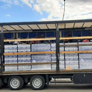 41 de cetăţeni străini, depistați ascunși de polițiștii de frontieră arădeni