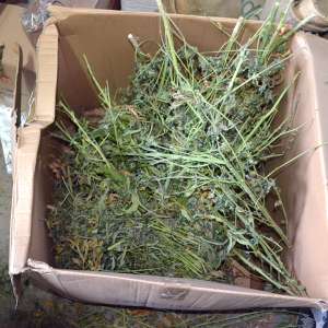 Fabrici clandestine de țigarete, descoperite de polițiști