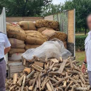 Două tone cu tutun neprelucrat, ascunse în două microbuze, descoperite în PTF Giurgiu