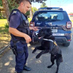 Acţiuni preventive în sistem integrat derulate în punctele de frontieră din vestul ţării