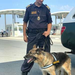 Acţiuni preventive în sistem integrat derulate în punctele de frontieră din vestul ţării