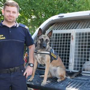 Acţiuni preventive în sistem integrat derulate în punctele de frontieră din vestul ţării