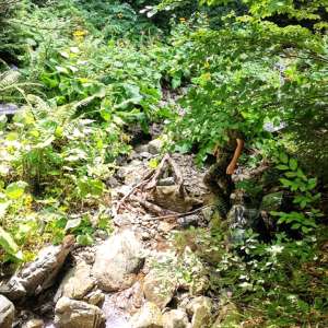 Țigări de contrabandă în valoare de 67.600 lei confiscate de polițiștii de frontieră maramureșeni