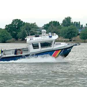 Delta, războiul și lipitorile