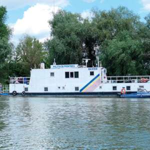 Delta, războiul și lipitorile