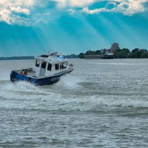 Delta, războiul și lipitorile