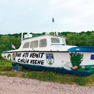 Delta, războiul și lipitorile