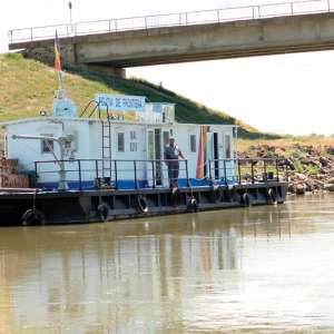 Delta, războiul și lipitorile