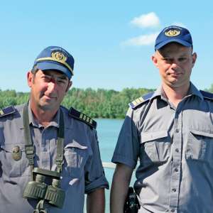 Delta, războiul și lipitorile