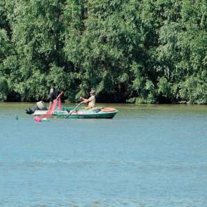 Delta, războiul și lipitorile