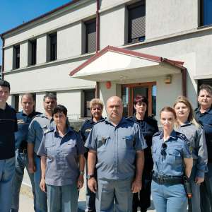 Delta, războiul și lipitorile