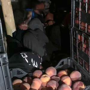 72 de migranți ascunși în TIR-uri, depistați în ultimele 24 de ore, la frontiera cu Ungaria