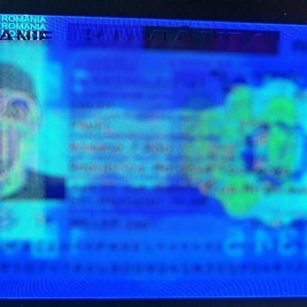 Carte de identitate falsă, procurată pentru angajare în Italia