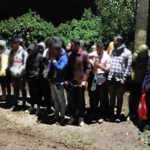 Două călăuze și 40 de migranți, opriți la frontiera cu Ungaria