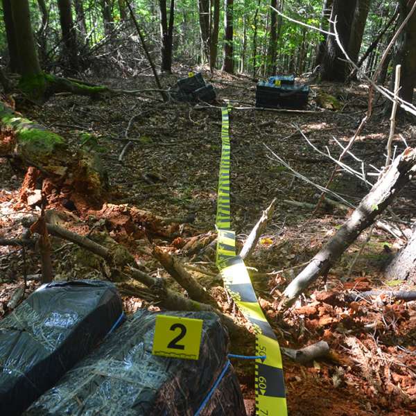 Țigări de contrabandă de peste 103.000 lei, confiscate la frontiera de nord