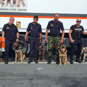 Măsuri de întărire a dispozitivului de supraveghere şi control la frontiera cu Ungaria